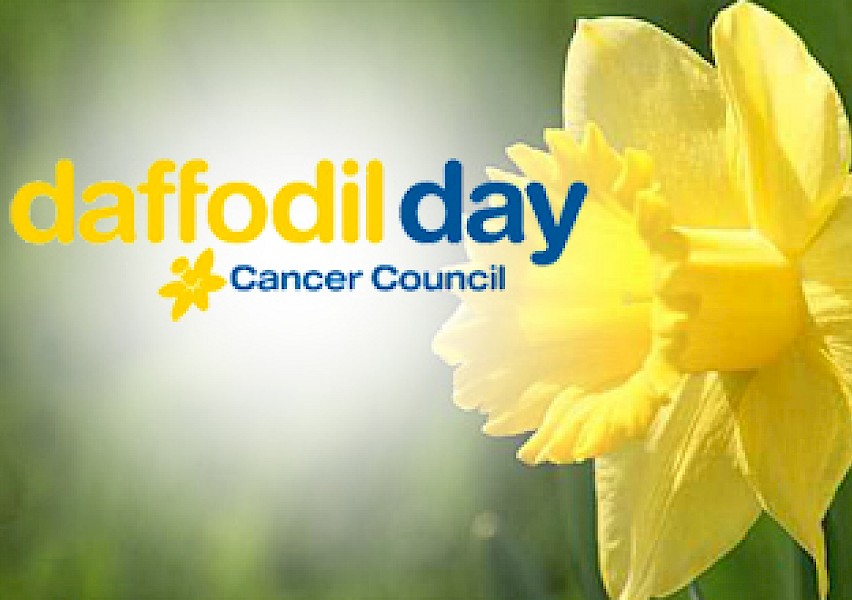 Daffodil Day - 1134 3CS - Local / National News